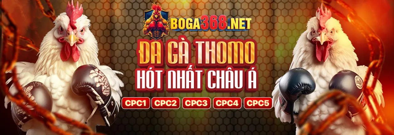Đá Gà Trực Tuyến W88Sports Win