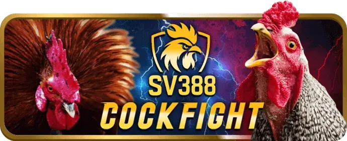 Cấp độ VIP Vàng w88sports win